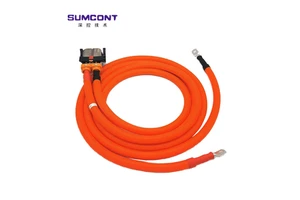 New OEM ODM Customized Electric Bus Wire Harness 6-121PIN 12V 24V 380V PVC Copper EV Conversion Kits