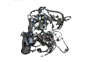 Automotive Wiring Harness for Toyota Asian Lion Cabin Fuse Box Wire Assembly Cable
