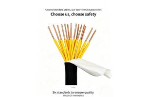 Anti-ageing ZR-KVV 12/14/16*1.5 Mm² Control Cable for Fire Safety in Buildings and Mechanical and Electrical Engineering