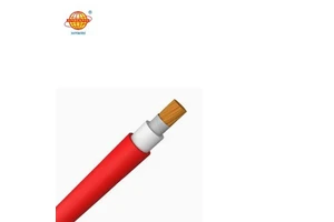 JINHUANYU Australian Standard 0.6/1KV Low Smoke Halogen-Free PVC Jacket Copper Conductor 1*10.0mm Industrial Use XLPE Cable