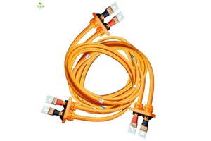 WDZ-DCYJR-125 70MM2 New Energy Wiring Harness AC1000V DC1500V High Voltage Wiring Harness Copper Nose Terminal Wiring Harness