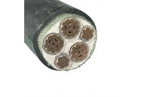 ZR-YJLV Fire Resistant Electrical Cable 0.6/1kV XLPE/PVC for High Safety Building and Commercial Engineering Projects