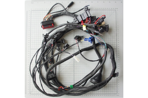 China Professional Jst Electrical ECU Wire Harness For Yamaha Warrior Shanyou Brand Automotive Cable Assembly PVC