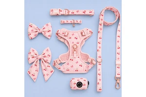 OEM ODM Customized Reflective Padded Neoprene Polyester Vest-style No-pull Dog Harness Set Dual D-Ring Quick-Release Buckles CE