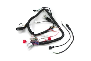 Custom Automotive Auto Wire Wiring Harness for Electronics K20 Series Tucked Engine