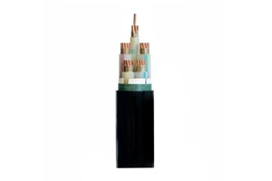 0.6/1KV Fire Resistant Flame Retardant XLPE Copper Cable for Indoor Emergency Lighting and Building Wire