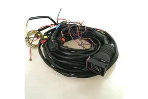 Custom Plug Engine Automotive Wire Harness Car Cable Assembly Wiring Harness