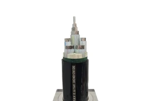 0.6/1KV YJLV Aluminum Core Cable Flame-Retardant for Construction Wiring