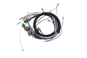 China High Quality Copper Core Automotive Wiring Harness PTFE Rubber for Electronic Cars Trucks-Customized Cable Harnesses
