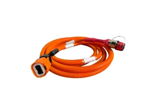 Customized High-Temperature Resistant Wiring Harness for EV Air Conditioning High Voltage Cable Assembly for New Energy Vehicles