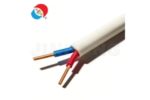 BVVB Double PVC Sheath Flat Cable for Distribution Box Industrial Equipment Fixed Wiring