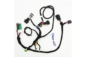 Factory Direct Sales Good Quality Automotive Iso Engine Wiring Harness for Car Truck Motorbicycle