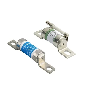 HRC Elevator Parts YinRONG RGS11 High Breaking Capacity Ceramic Fast Acting Fuse Link IEC Certified