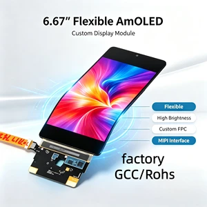 Factory Custom 6.67Inch Flexible AMOLED Module with 10-Point Capacitive Touch Custom CG Support for AI Robotics & Smart Terminal