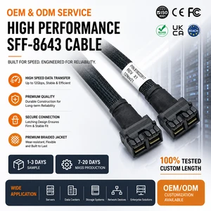 LUNG KAY Mini SAS HD SFF-8643 8i Cable 12Gbps Internal 72Pin SAS 3.0 Data Cable for Server Storage Backplane HBA RAID Card