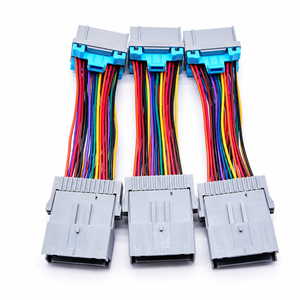 Factory Price Custom 24 Pin Multicolored Automotive Connector Wire Harness Cable Assembly Car Electrical Wire For Stereo