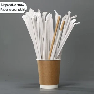 Disposable Eco-Friendly Biodegradable YD Brand Paper Straws 6mm Inner Diameter 197-230mm Length for Home Commercial Use Milk Tea