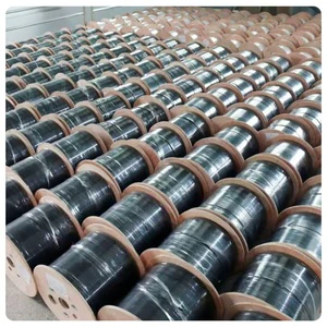 Single-mode Fiber Optic Cable 5km 2km Factory Price 1 2 4 12 24 48 Core Gyta Gyxtw ADSS OPGW FTTH Drop Communication Cable