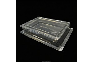 Custom OEM ODM Protective Clamshell Packaging for Connector Terminal Wire Small PCB Board Sensor Module Battery Box