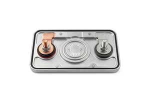 EV Battery Safety Vent Stamped Terminal Pole Piece High Current Capacity Vibration-Absorbing Structure Nickel Plating For