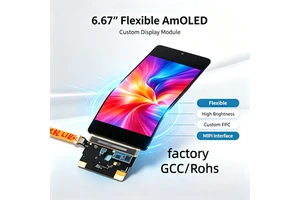 Factory Custom 6.67Inch Flexible AMOLED Module with 10-Point Capacitive Touch Custom CG Support for AI Robotics & Smart Terminal