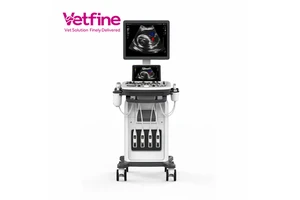 Medical Vet Ultrasound Instruments Ecografo Digital Color Doppler Ultrasound Scanner System Veterinary Ultrasound Machine
