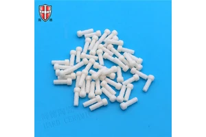 Manufactory Custom Injection Moulding 99 Alumina Ceramic Part Electrode Spark Plugs