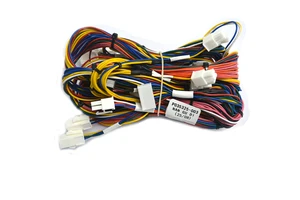 Customized PVC PTFE/Nylon Insulated Wire Harness Cable Assembly JST 2/4/8 Pin Faston Terminal for Truck Motorcycle Applications