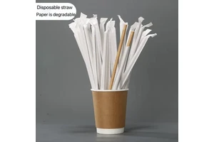 Disposable Eco-Friendly Biodegradable YD Brand Paper Straws 6mm Inner Diameter 197-230mm Length for Home Commercial Use Milk Tea