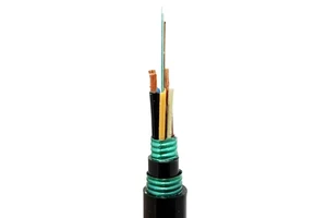 Outdoor Aluminum Armored Fiber Optic Cable Single Mode/Multi Mode OS2 OS3 OM2 OM3 G652D G657A1 G657A2 GYTA53 Model Oxygen-Free