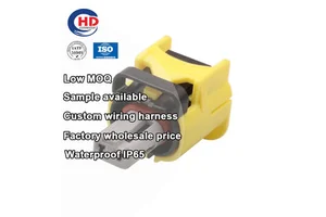 2 Pin 909810-12F74 Cable Wiring Harness Car Housing Wire Automotive Auto Socket Connectors