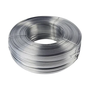 Heat Resistance Galvanized Steel Wire Galvanized Double Wire Twist Ties Iron Wire Rope 16mm Zinc Coated