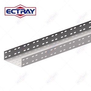 ECTRAY China Manufacturer Cable Tray High Quality Cable Management Tray Steel Ladder Type OEM ODM Wire Galvanized Cable Tray