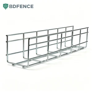 Galvanized Low Carbon Steel Wire Mesh Cable Tray 50/100/300mm OEM ODM Basket Cable Tray Data Center Industrial Cable Management