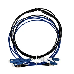 For Server Rack And Network Cabinet Use 10m Length OM1 OM3 OM4 RRU RRH CPRI Armored Fiber Optic Patch Cord