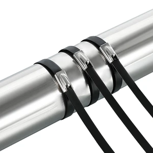 Manufacturer Direct Sales DEYI Brand High Quality Self-Locking 201/304/316 Stainless Steel Cable Ties High-Temperature DY-ZD
