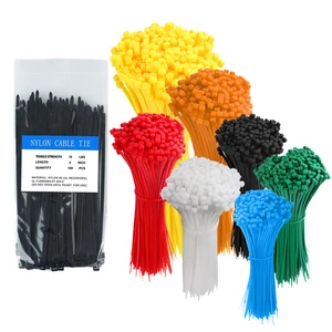 Nylon Self-Locking Eco-Friendly Cable Ties 2.5* 100mm 4 Inch Industrial Use