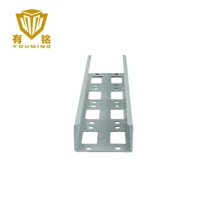 Factory Wholesale Hot -Dip Galvanized Steel Spray Plastic Cable Tray for Building