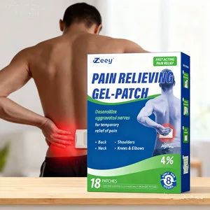 Pain Relief Patch Plaster Pain Relief Strips Pain Relief Pads Transdermal Patch