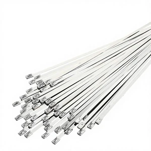 GATI SS316 Self-Locking Cable Ties 4.6mm*300mm Uncoated GC4.6*300 Made in China 100pcs/Bag