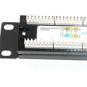 24/48 Ports Cat5e Cat6 UTP Rj45 1U 19'' Patch Panel OEM UV Printing LOGO Module Type