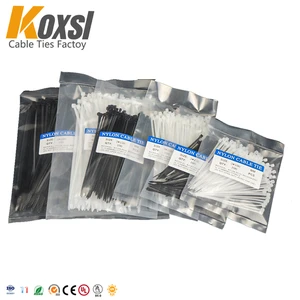 Customized 2.5*100mm Quarterly Self-Locking Cable Tie with Printed Logo Nylon Lifting Rigging Inspection Tags Labels