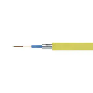 Waterproof Dustproof Flame-retardant Copper FEP Insulated 316L Carbon Steel Encapsulated Conduit Cable 2 Cores