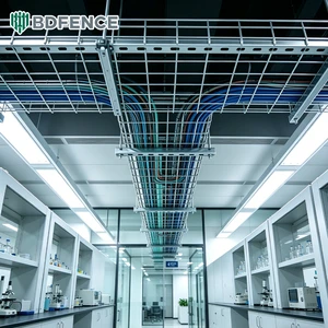 Low Carbon Steel Galvanized Wire Mesh Cable Tray, Electronic Factory Precision Workshop, Static Dissipative Anti-Corrosion