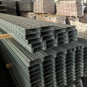 High Quality Steel Perforated Electric Project Cable Tray Trunking Industrial Raceway Cable Management For Cable Laying