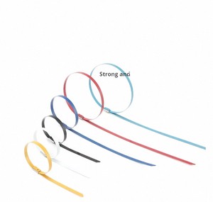 Small Industrial Nylon Stainless Steel Cable Ties Self-Locking Design