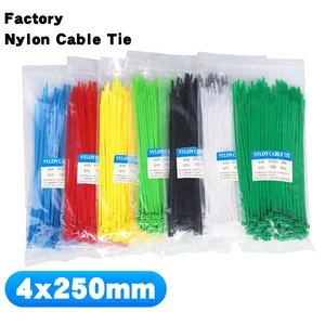 Self-Locking Zip Ties 10 Inch 40LBS Tensile Strength Colored Nylon Cable Ties 100 Pack Flexible Durable Black White