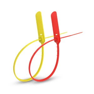 Disposable Plastic Security Seals With Tear-off Tab Adhesive Cable Ties For Truck Oil Tank Custom Hang Tags