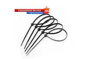 BCT004 Nylon Cable Ties Wire Ties Black Nylon Cable Tie