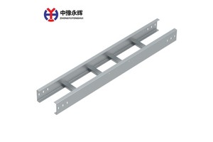 Customizable Ladder Type Cable Tray Anti Corrosion Wire Tray for Data Center Cable Management Customizable Wholesale